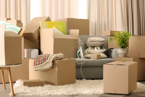 Packing materials and labelled cartons used for a Holland Park move
