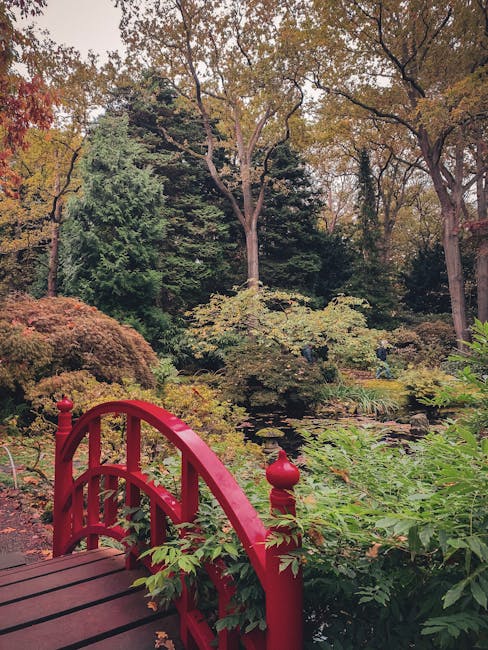 https://removalvanhollandpark.co.uk/blog/avoid-hidden-removal-charges-in-holland-park/