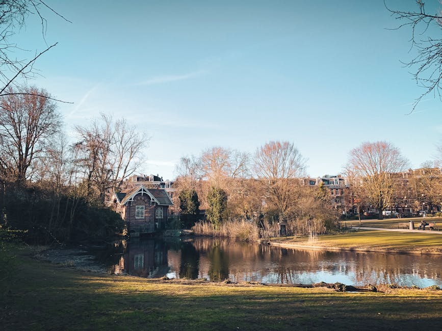 A scenic view of a residential area in Holland Park during daytime, featuring a small pond with calm water reflecting the surrounding leafless trees and a house with a dark roof and brick façade visib