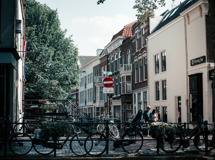 https://removalvanhollandpark.co.uk/blog/what-to-know-about-narrow-access-removals-in-holland-park/